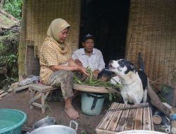 Karmin dan Simpen 22 Tahun Tinggal di Dasar Jurang Mojokerto